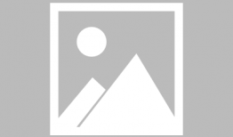 小黄片短视频,网络诱惑与道德反思